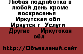 Любая подработка,в любой день,кроме воскресенья. - Иркутская обл., Иркутск г. Услуги » Другие   . Иркутская обл.